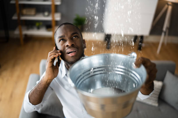 Best Professional water damage repair  in Framingham, MA