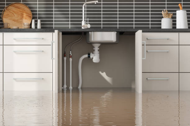 Best Carpet water damage restoration  in Framingham, MA